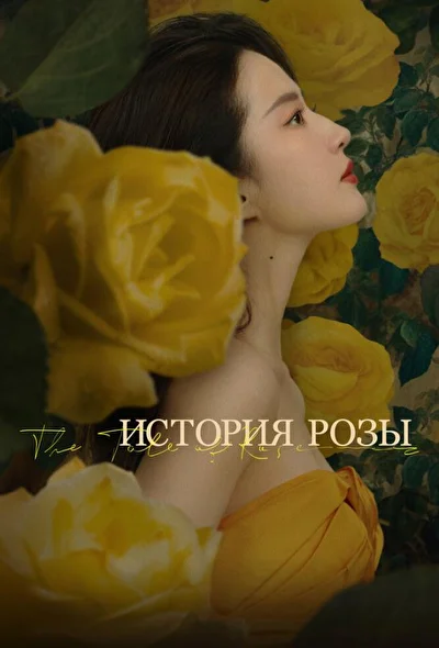 Постер к История розы (2024)